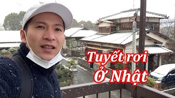 Đi Làm Ngày Tuyết Rơi Lạnh Tê Tái | Cuộc Sống Ở Nhật | QuanJP