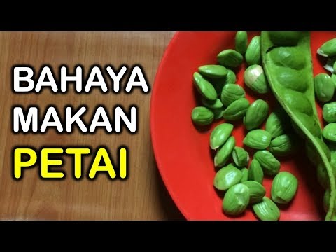 Video: Dill - Khasiat Yang Berguna, Penggunaan Biji, Bahaya, Indikasi