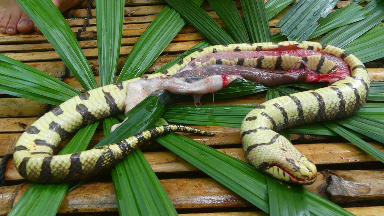 8- google snake ✨ (tem que comer as maçãs) kk #fy #fyyy #snake #miniga