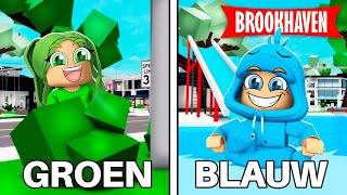 VERSTOPPERTJE In 1 KLEUR In Brookhaven! (Roblox)