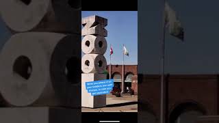 Celebrity Supa Dupa Hack Take 10 Safety idea for your kiddos Profile