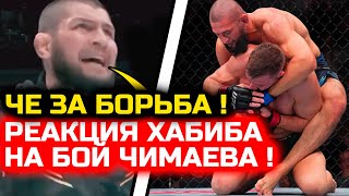 МОЩНАЯ РЕАКЦИЯ ХАБИБА НА бой Чимаева и Дю Плесси! хамзат чимаев дрикус дю плесси юфс 319 бой