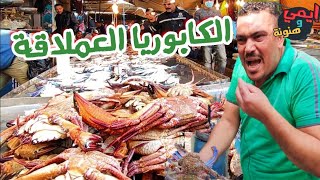 حرب الكابوريا السويسي ? بين اسواق سمك محافظات مصر  crab Fight