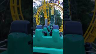 Back seat on a 50+ year old roller coaster! #rollercoaster #themepark #shorts