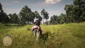 Red Dead Redemption 2 - How to Not Open a Safe