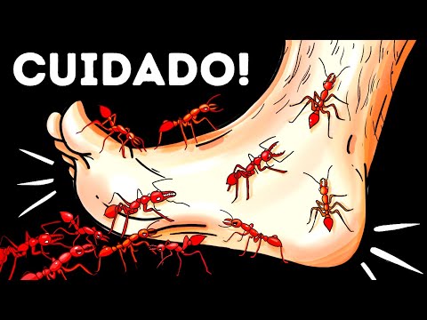 Vídeo: 12 filhotes que estão começando a descobrir essa coisa de patas inteiras