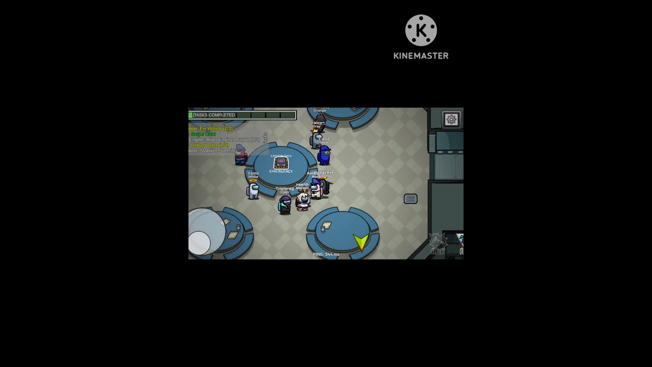 playing among us attitude 