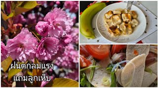 ฝนตกลมแรง ลูกเห็บก็ตก#ยำวุ้นเส้นหมูยอ#กล้วยปิ้งหม้อทอดไร้น้ำมัน#ไก่ทอด#สาวไทย#ซากุระสวยๆ