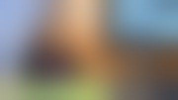 WordPress - How to Add Polls to Your Website - WordPress Attack