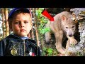 Мальчишка нашел в лесу волчонка в капкане и помог ему... А когда волчонок вырос, то...