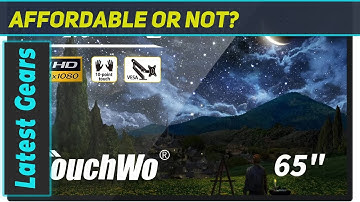 TouchWo 65-inch Interactive Touchscreen Monitor Review