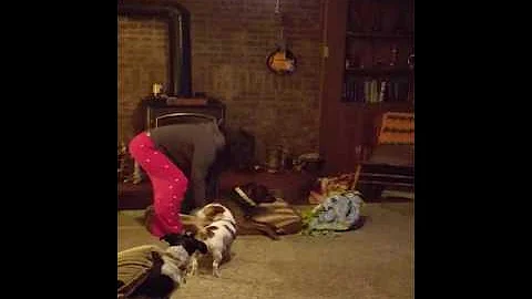 poor bosco