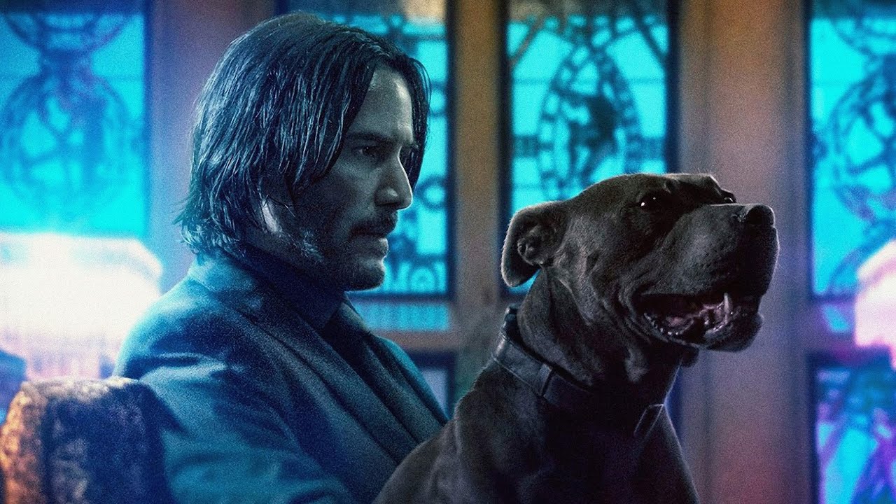 Dog Fu | John Wick: Chapter 3 - Parabellum (2019) Blu Ray Behind the Scenes