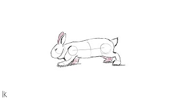 rabbit run | 2d asset test