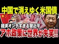 【ゆっくり解説】なぜ米国債を全部売り払った…中国の巨額負債が増え続けている衝撃の理由とは？
