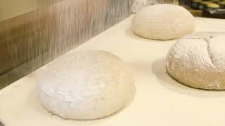 Marlen Vertelt Over Haar Ervaring Als Bakker Bij Jumbo