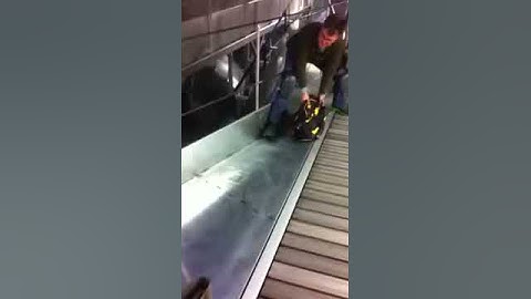 Without Durasurf STS