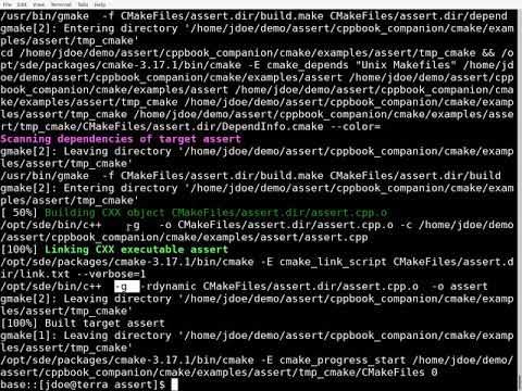 Assertions and CMake Build Types Demonstration
