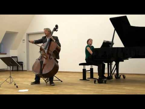 Niek de Groot on AMATI Double Bass from 1680 - Cat...