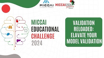 MICCAI Educational Challenge 2024: Validation Reloaded: Elevate your model validation
