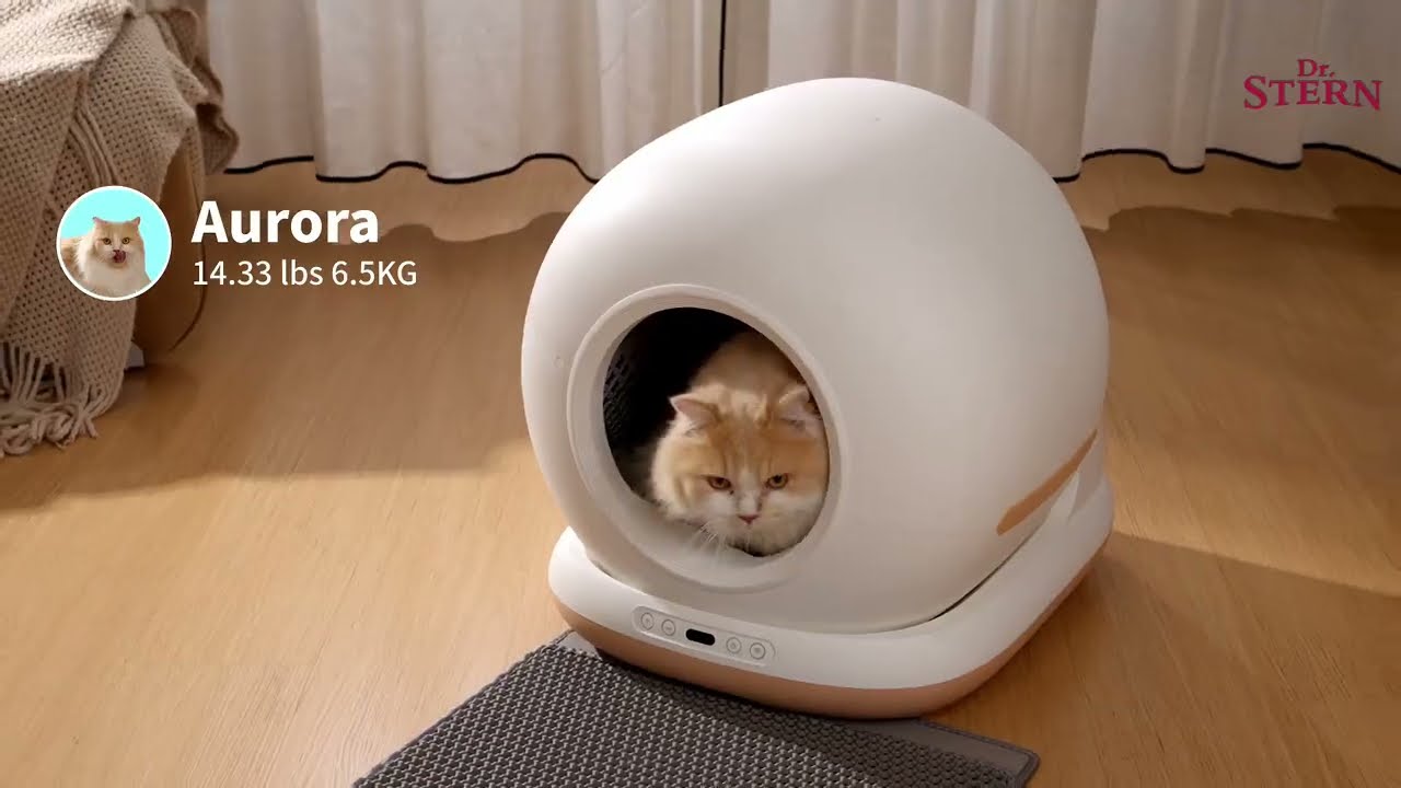 Dr.Stern Smart Cat Litter Box CB001 | Auto-Cleaning, UV Sterilization & App Control