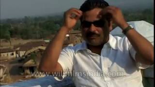 Saif reluctant to cut his hair due to female fan following, hairy issue for 'Omkara'!