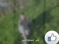 ناري نارين نار من كمالو روح ي ابو الجود بطلنا نسرق