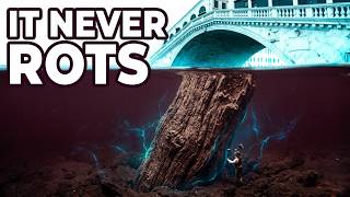 How Venice Was Built on 10M Trees (That NEVER Rot)