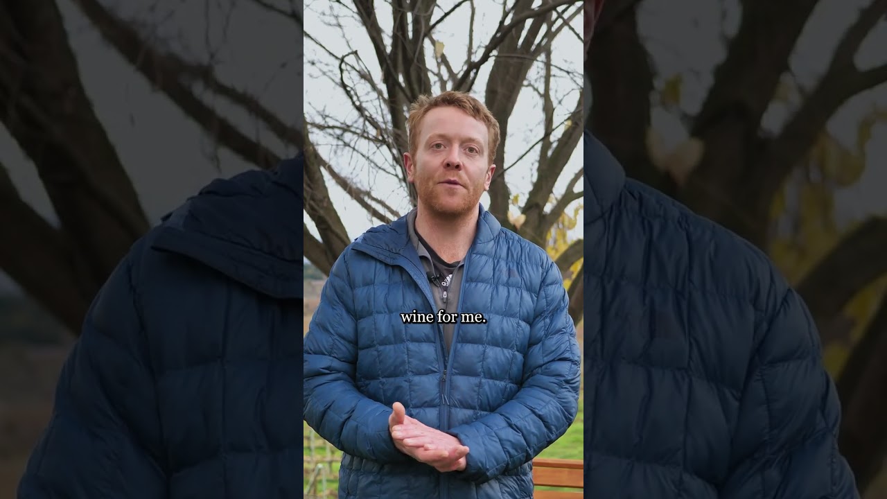 Winemaking experience from all around the world