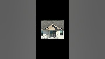 The final answer to how a bird pooped on my window - #science #birds #physics