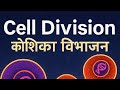 Cell Division क्या है? | Mitosis &amp; Meiosis आसान भाषा में.