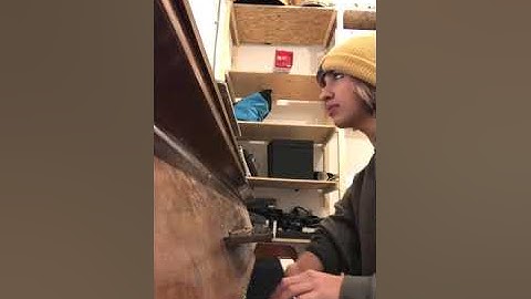 samson - regina spektor (cover)