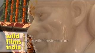 Shirdi's priests performing 'Prana pratishta' ceremony of 'Sai Baba' idol at a temple - Dehradun