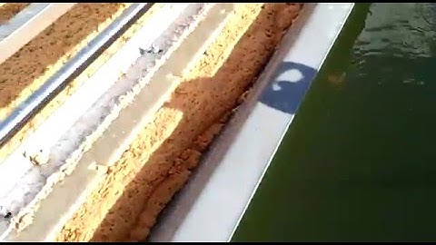 Dissolved Air Flotation DAF Toro Equipment Anaconda FRL 200