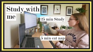 Study with me & cat (real time with breaks) | No Music & Ambient ASMR Typing Sounds | 25+5 mins