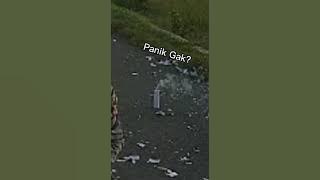 story' wa mas mad panik gak terbaru.pengen ngakak takut dosa😂