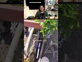 CON ESTA HERRAMIENTA CULTIVA mas RAPIDO #shorts #shortsfeed #shortvideo