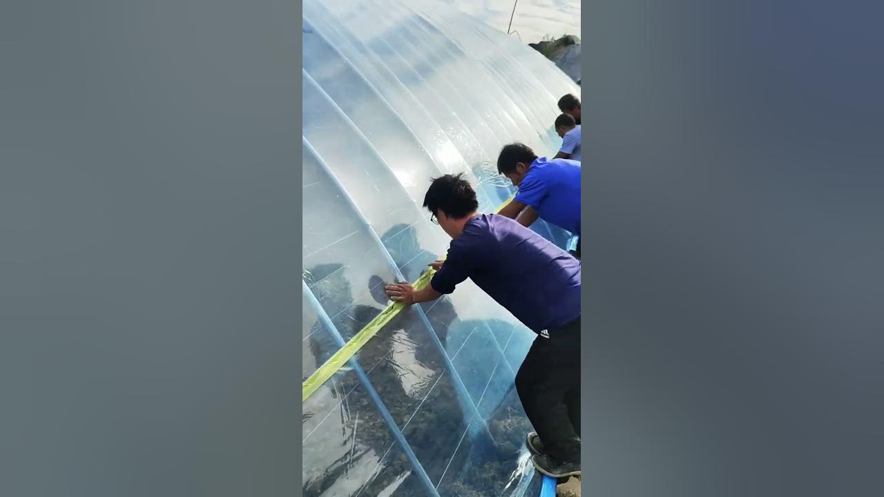 Building Greenhouse #satisfying #short