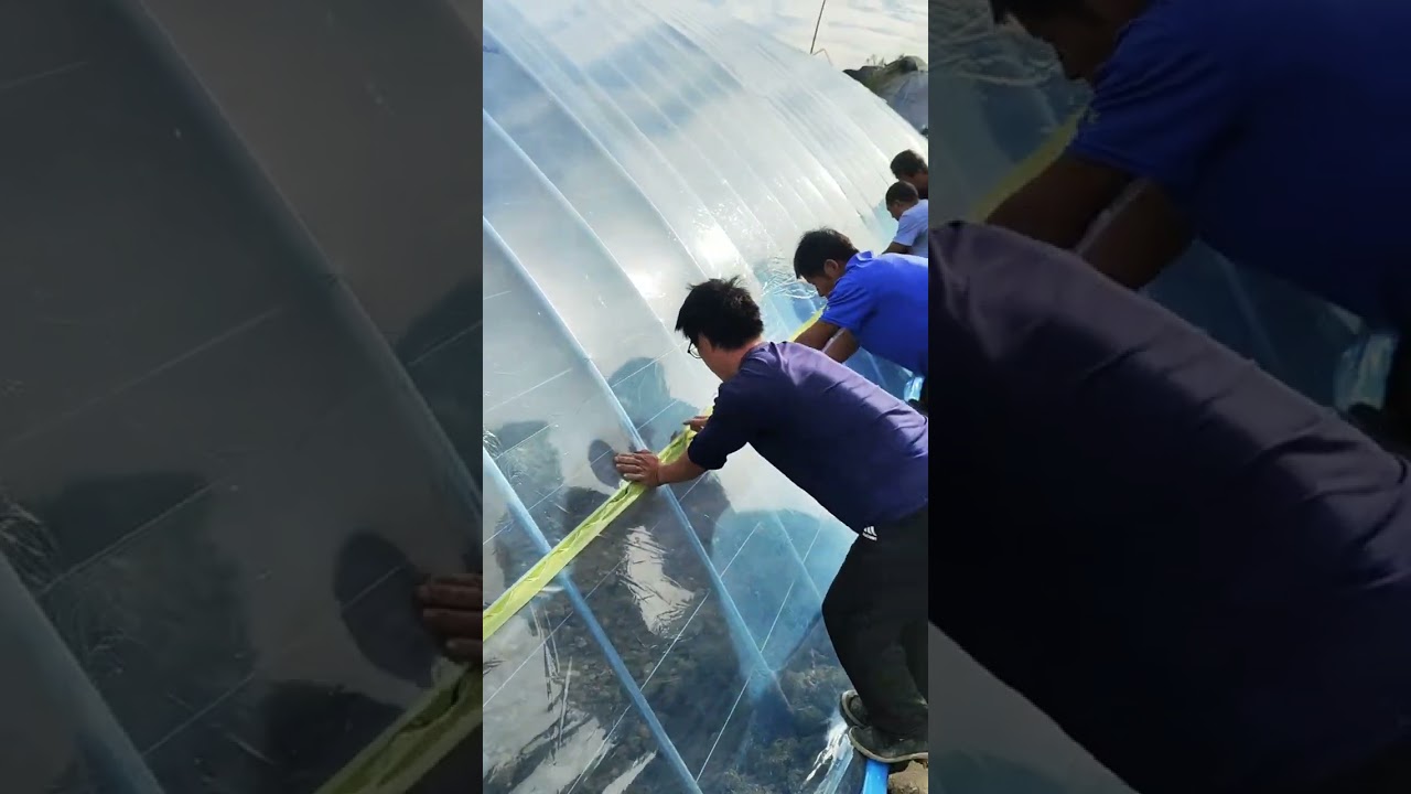 Watch Building Greenhouse #satisfying #short on YouTube Watch Building Greenhouse #satisfying #short on YouTube