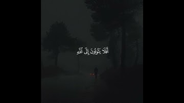 أَفَلَا یَتُوبُونَ إِلَى ٱل‍‍لَّهِ🌱| تلاوة هادئة 😴♥️ بصوت #عبدالرحمن_مسعد ✨💜 ارح سمعك و قلبك 💙🎧