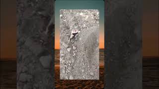 Download Lagu jangan ganggu rumahku,,, #trending #viralshort #funny #shorts #shorts #trendingshorts #memes MP3