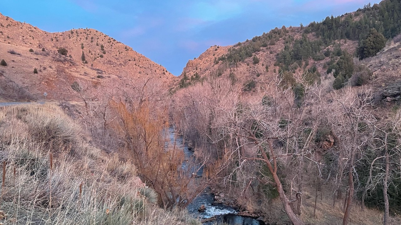 First Dry Flies of Spring: Early Season Tenkara on a Colorado Creek