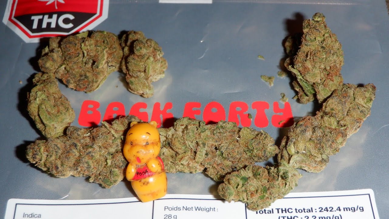 Strain Review Wedding Pie By Back Forty