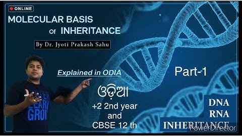 Molecular basis of inheritance in Odia ସମ୍ପୂର୍ଣ ଓଡ଼ିଆ ରେ part-1 for CHSE 2nd year and CBSE 12 th