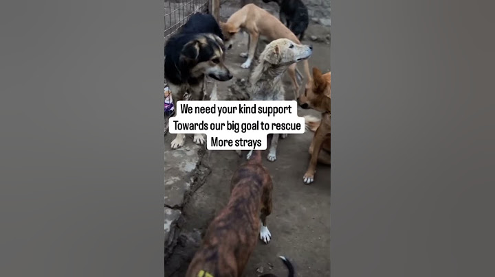 Any kind of help is needed and accepted to wait for tomorrow because will never reach .#donate now