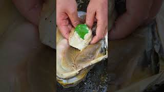 😱😱Giant clams, countless beautiful pearls that people yearn for