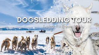 Dogsledding on sea ice in the Fjords