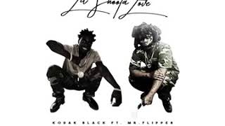 Kodak Black Ft. Mr.Flipper - Lil Shoota Love
