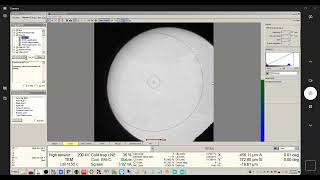FEI Themis Z S/TEM: Align LM (basic alignment)