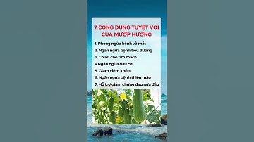 7 Công Dụng Tuyệt Vời Của Quả Mướp #dsdaiminh #dinhduong #shorts